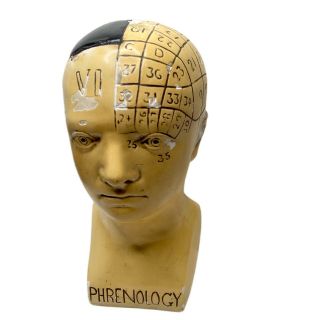 Vintage Antique Phrenology Bust Cast Head Science School Heavy 12”