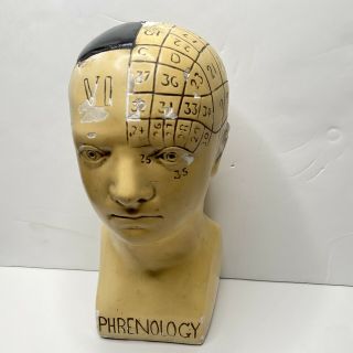Vintage Antique Phrenology Bust Cast Head Science School Heavy 12” 2