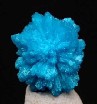 Rare Cavansite Blue Ball Crystal Cluster Mineral Specimen Poona India