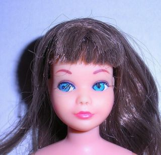Vintage 1968 Brunette Twist N Turn Tnt Skipper Doll Mattel Japan