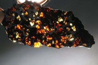 40g Rare Slices Of Kenyan Pallasite Meteorite Olive R2880