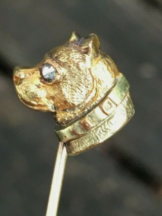 Vintage Antique Bulldog Pit Bull Dog Stick Pin