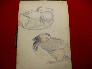 2 - 25 Japanese Bird Sketch Hand Drown Pictures Book