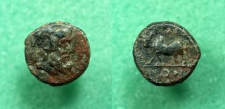 A0193 Ancient Greek,  Tralleis,  Lydia Ae15mm Zeus / Humped Bull - Rare
