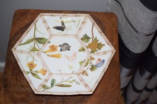 A Fine Antique Bodley Plate – C.  1879