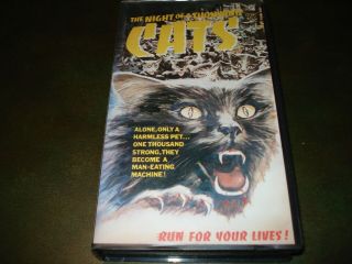 Vhs The Night Of A Thousand Cats 1972 Anjanette Comer Rare Video Collectible