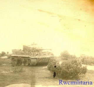 Rare German Elite Waffen Camo Pzkw.  Vi Tiger Panzer Tank " 122 " In Field