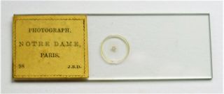 Antique Microphoto Microscope Slide,  By J.  B.  Dancer,  Notre Dame,  Paris