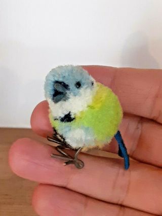 Old Vintage Antique Steiff Miniature Wool Pom Pom Bird Vogel Blue Tit Soft Toy