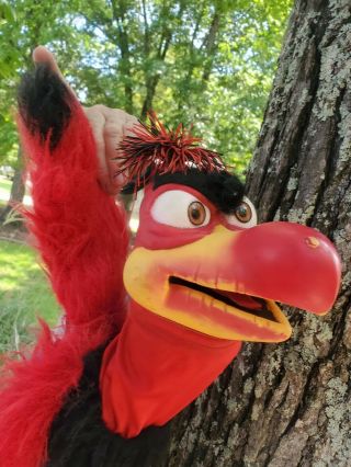 Axtell Expressions The Burds Bird On Arm Hand Puppet Rare Red Black Bluevtg 1991