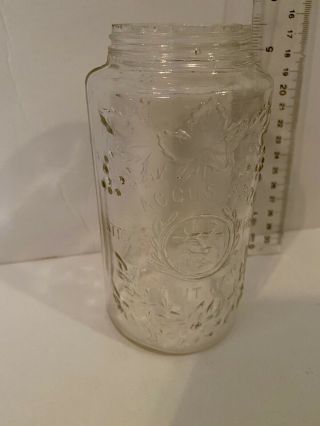 Antique Tall Skinny Pint Jar - Flaccus Bros Steers Head Fruit Jar Canning