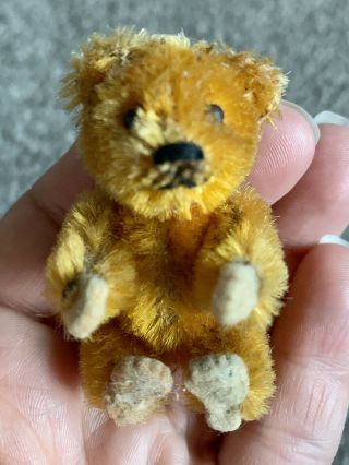 Rare Dollhouse Antique Miniature 2.  5 " Gold Mohair Schuco Piccolo Bear Nr