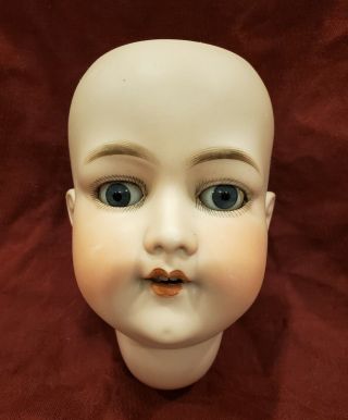 Large Antique German Bisque Doll Head Armand Marseille 390n