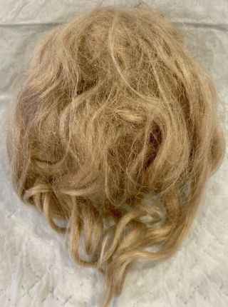 A52 7 " Antique Light Blond Bleuette Mohair Wig For Antique Bisque Doll