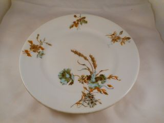 Antique Dinner Plate,  Haviland China,  Limoges Schleiger 1154 (5702),  Floral