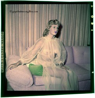 Bunny Yeager Color Camera Transparency Pretty Blonde Model Diaphanous Nightie 2