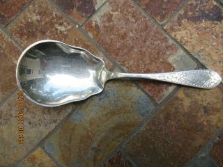 Vintage Sterling Silver Serving Spoon Stieff Betsy Patterson Pattern,  89 Gtw