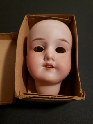 Antique Bisque German Doll Head Only Armand Marseille 390n