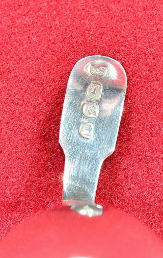 Uk Hallmarked Antique Solid Sterling Silver Tea Caddy Spoon