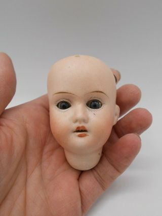 Vtg Antique Gebruder Knoch Bisque Sleepy Eye Open Mouth Teeth Doll Head Germany