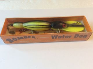 Vintage Wood Bomber Water Dog Lure,  Nib,  1700 Series In Tough Fysc Color