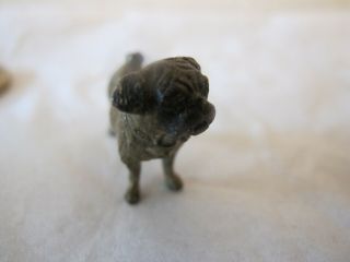 Antique Miniature Austrian Cold Painted Bronze Pug Dog 3.  4 cm Long 2