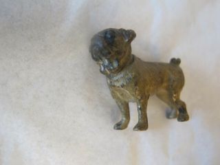 Antique Miniature Austrian Cold Painted Bronze Pug Dog 3.  4 cm Long 3