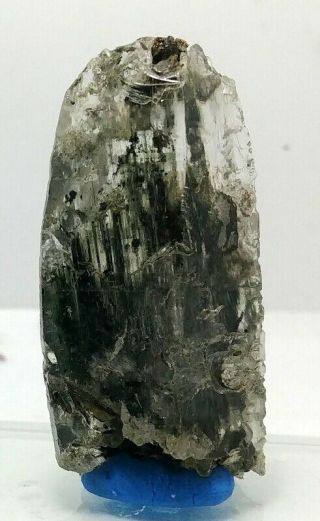 28 Grams Lovely Rare Actinolite In Quartz Crystal Specimen From Skardu Pakistan