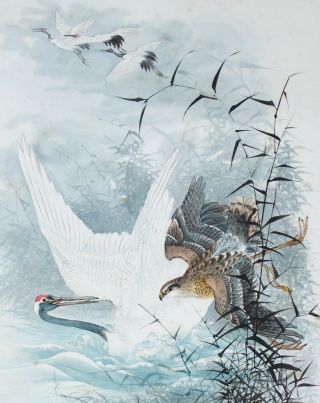 Fine Antique 19th Century Japanese Watercolour Of Cranes & Peregrine Falcon