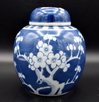 Vintage Chinese Porcelain Blue And White Prunus Ginger Jar & Cover Vase