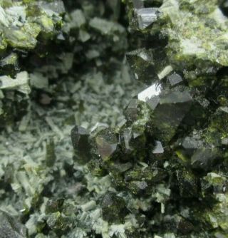 V Rare Actinolite Var Uralite With Epidote Crystals Calumet Mine Colorado