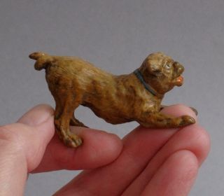 Lovely Vintage Cold Painted Bronze Metal Pug Dog Playing/puppy Miniature
