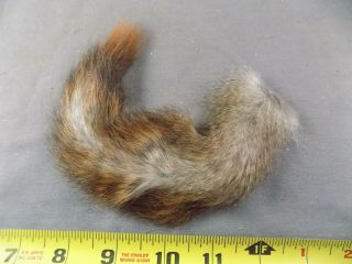 Rare Russian Squirrel Tail Vintage Unusual Fly Tying Materials