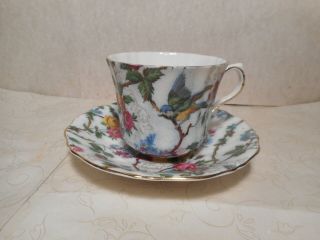 Old Royal Bone China Teacup and Saucer Roses With Multiple Flowers And Birds 2