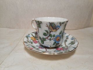 Old Royal Bone China Teacup and Saucer Roses With Multiple Flowers And Birds 3