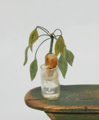 Vintage Sprouting Potato In Glass Artisan Dollhouse Miniature 1:12