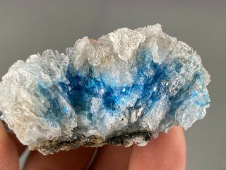 Rare Blue Cyanotrichite in Gypsum from China 3
