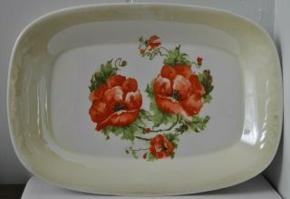 Lovely Antique Saxon China Poppy Flowers Decorated Plate