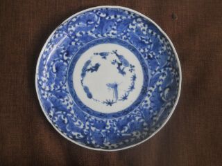 Early Chinese/japanese? Blue And White Scalloped Edged Porcelain Plate