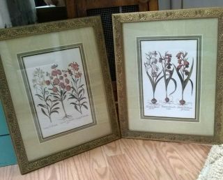 2 French Botanical Floral•prints• Framed •vintage•15”x18”