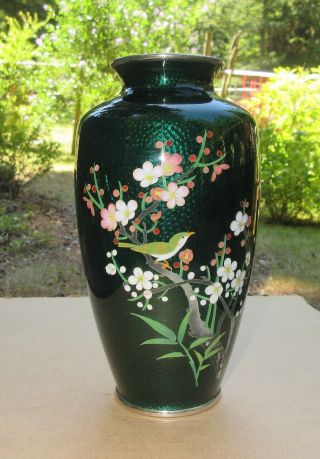 Vintage Japanese Cloisonne Green Cherry Blossom Tree & Bird Vase