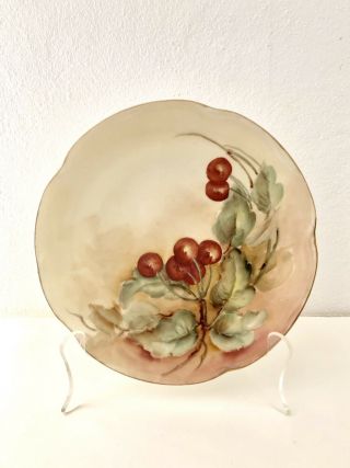 Rare Vintage/antique J&c " Louise " Bavaria Hand Painted Cherries Display Plate
