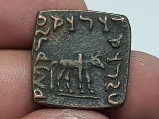 Museum Quality Extremely Rare Ancient Indo Greek Square Bronze Coin.  5,  4 Gr.  21 Mm