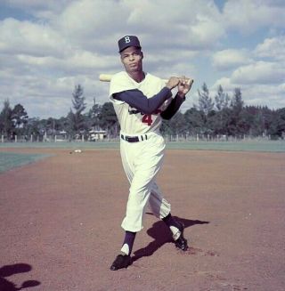 1956 Photo Transparency Charlie Neal - Brooklyn Dodgers In Rare Color