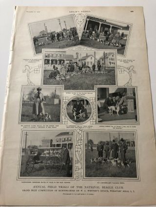 1902 Leslies Weekly Antique Print National Beagle Club Trials Long Island 101519