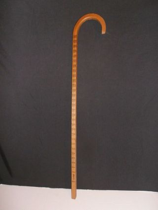 Vtg Doyle Wood Lumber Measuring Walking Cane Ruler Bent Wood Rare Advertising