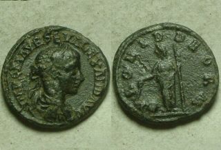 Rare Ancient Roman Coin Alexander Severus Bronze Denarius Providence