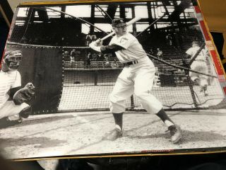 Mickey Mantle Rare Rookie Photo 16 X 20”.  From 1951.  Yankees.  Hof.  536 Hrs.