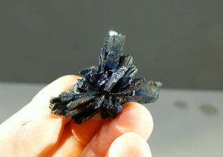 , Rare,  Blue Azurite Crystal Spray,  Morocco
