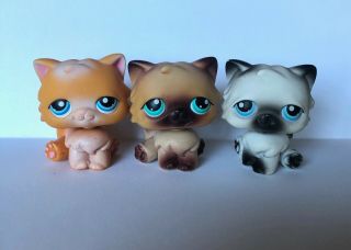 Authentic Rare Littlest Pet Shop Persian Cats 153,  22,  60 With Red Magnets
